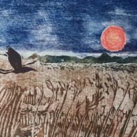 woodcut print of bittern