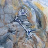 painting of fulmars