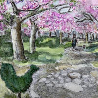Etching and Watercolour of Cherry Blossom